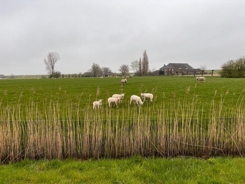 B&B Oldenbosch Holwierde Exteriör bild