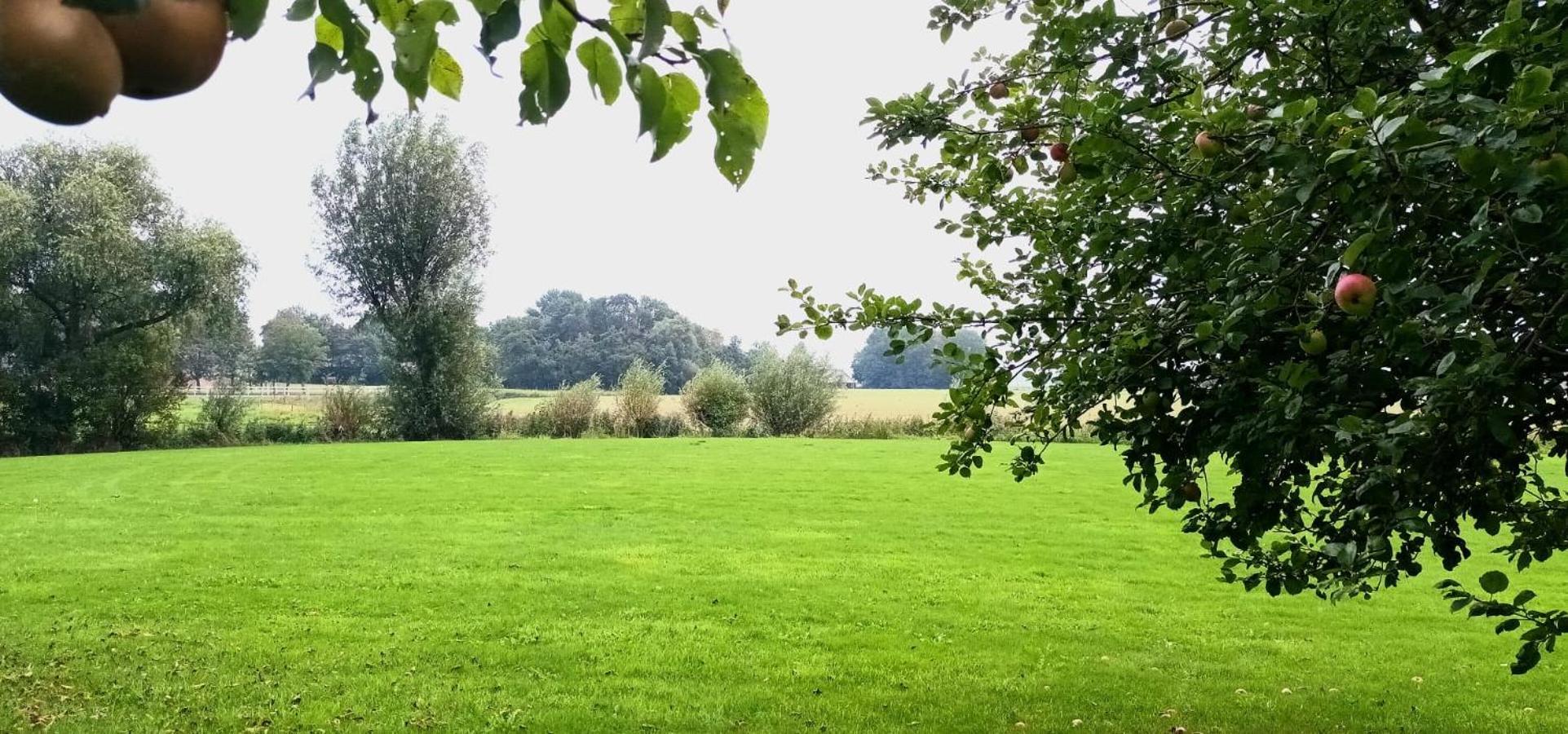 B&B Oldenbosch Holwierde Exteriör bild